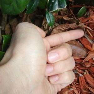 Meet your Posher, Chloe